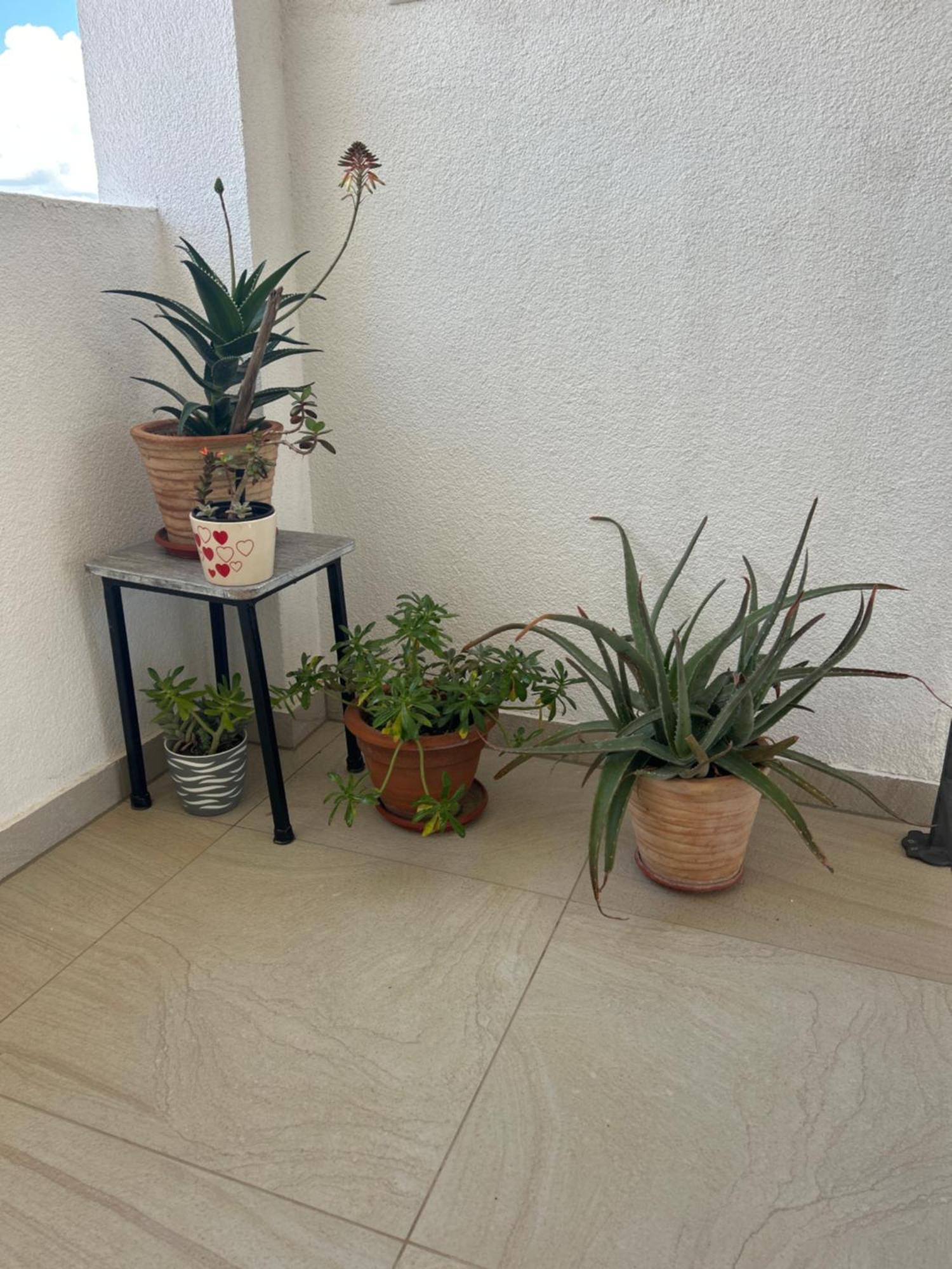 Apartments Purkovic Vodice Exterior photo